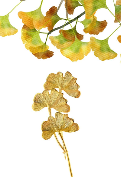 Ginkgo Biloba