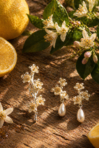 A moment remembered- Lemon Blossom