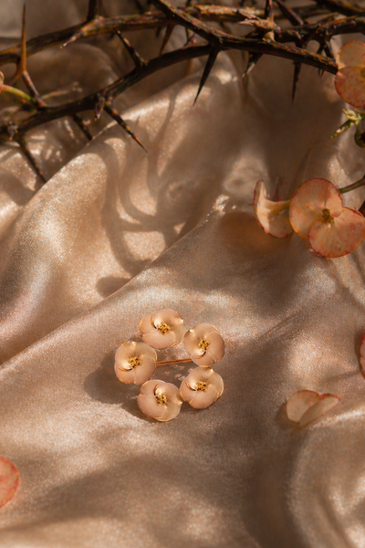 CROWN OF THORNS