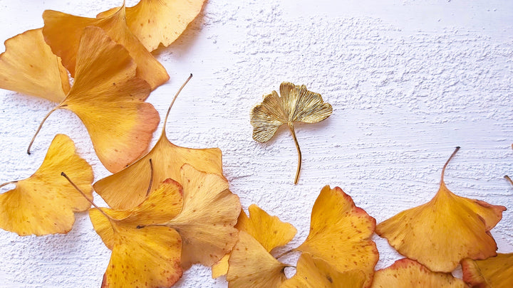 Ginkgo Broş